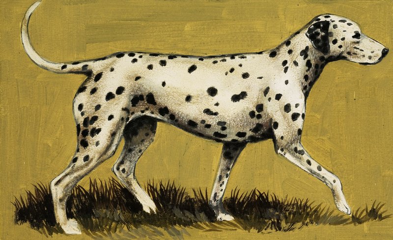 Dalmatische hond door English School