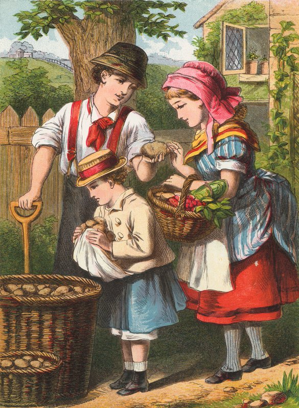 Aardappelen rooien door English School
