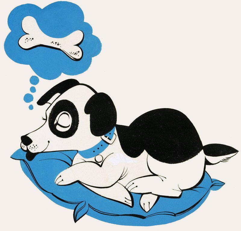 Hond die droomt van een bot door English School