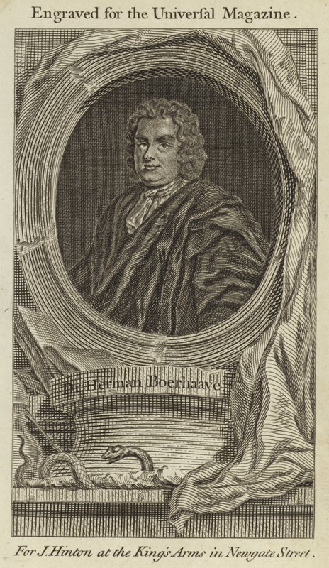 Herman Boerhaave door English School