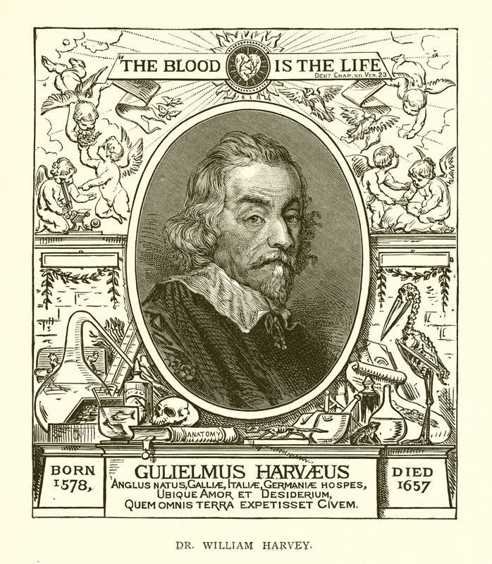 Dr. William Harvey door English School