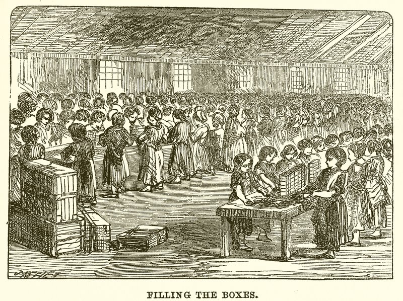 De dozen vullen door English School
