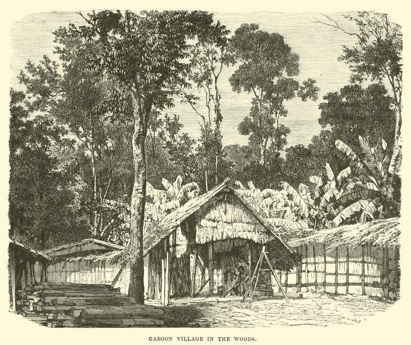 Gabon dorp in de bossen door English School