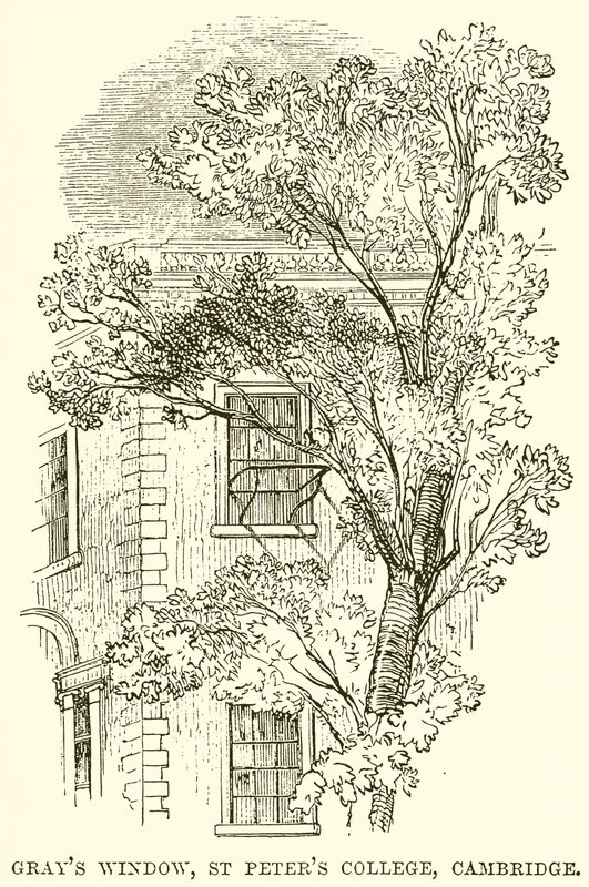 Grays Raam, St. Peters College, Cambridge door English School