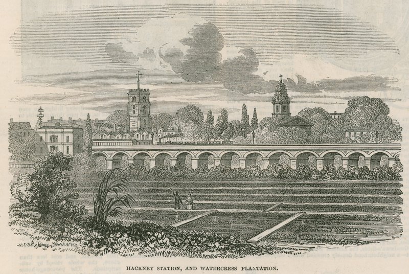 Hackney Station en Waterkersplantage, Londen door English School