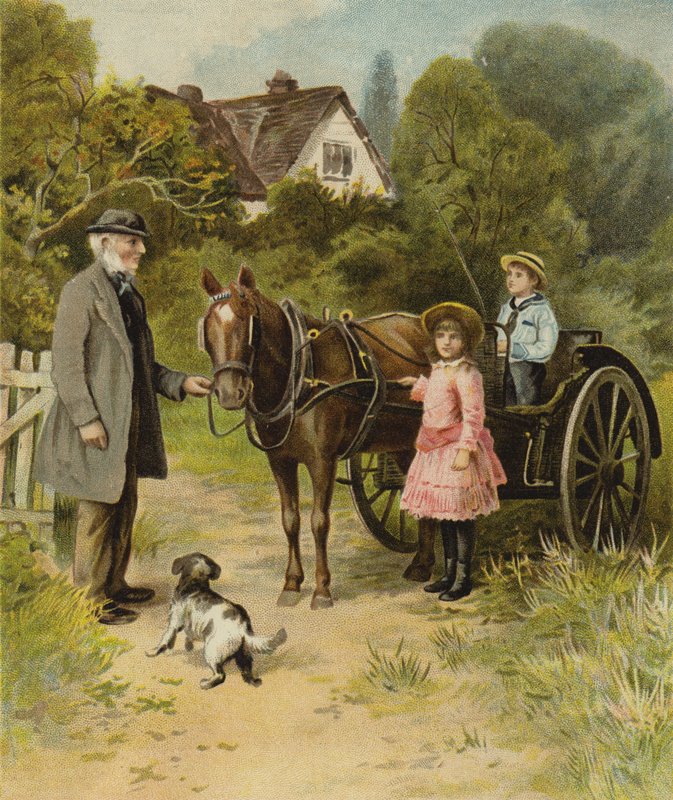 Vakantieplezier door English School