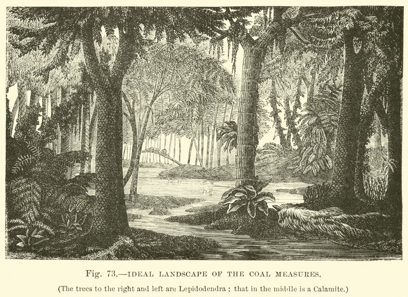 Ideaal landschap van de steenkoollagen door English School
