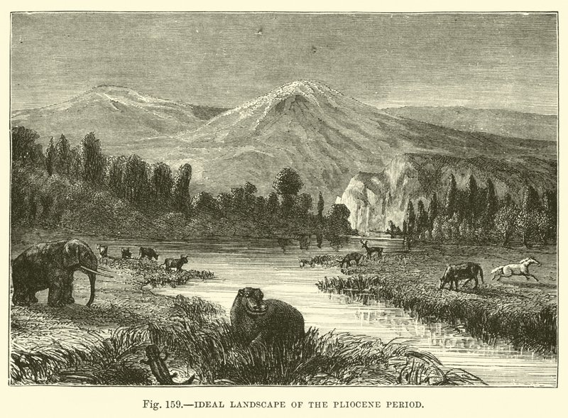 Ideaal landschap van de Plioceen periode door English School