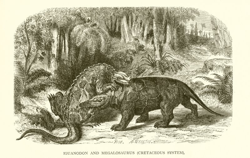 Iguanodon en Megalosaurus, Krijtsysteem door English School