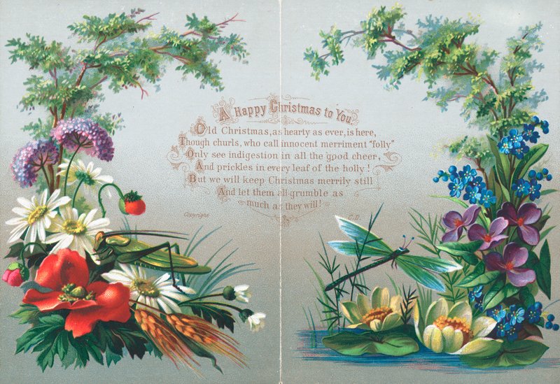 Insecten en Bloemen, Kerstkaart door English School