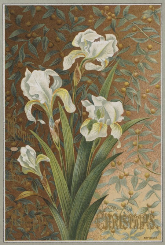 Iris (chromolitho) door English School