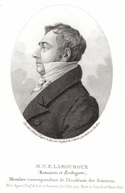 Jean Vincent Félix Lamouroux door English School