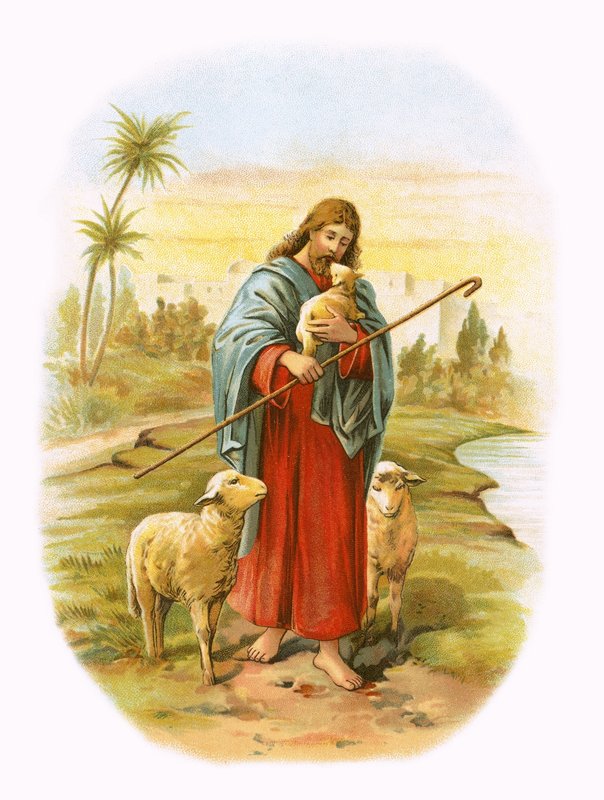 Jezus, de goede herder door English School
