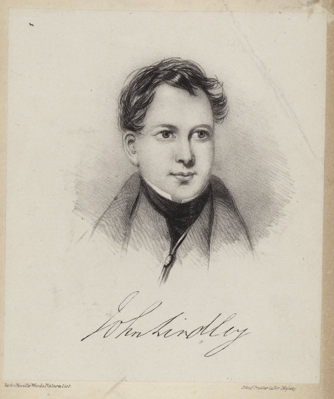 John Lindley door English School
