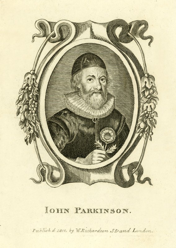 John Parkinson door English School