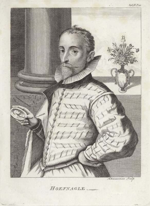 Joris Hoefnagel door English School