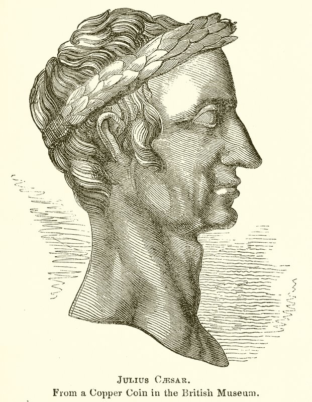 Julius Caesar door English School