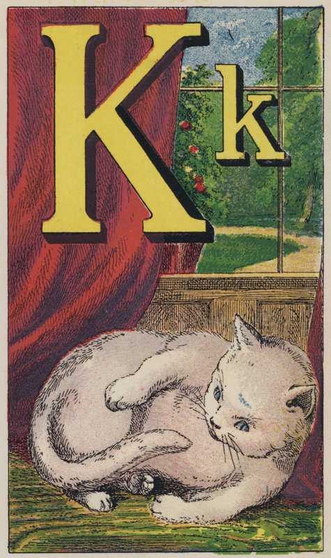 Kitten door English School