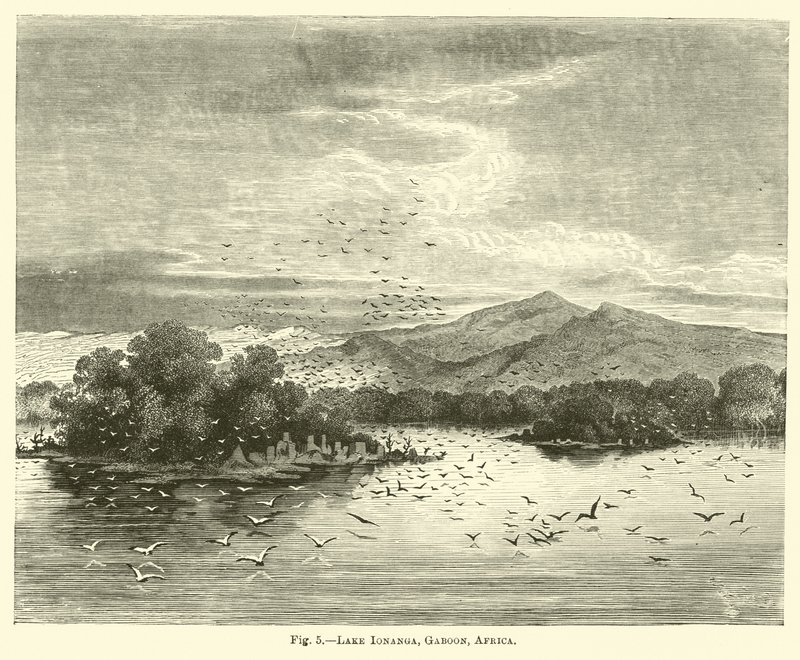 Lake Ionanga, Gabon, Afrika door English School