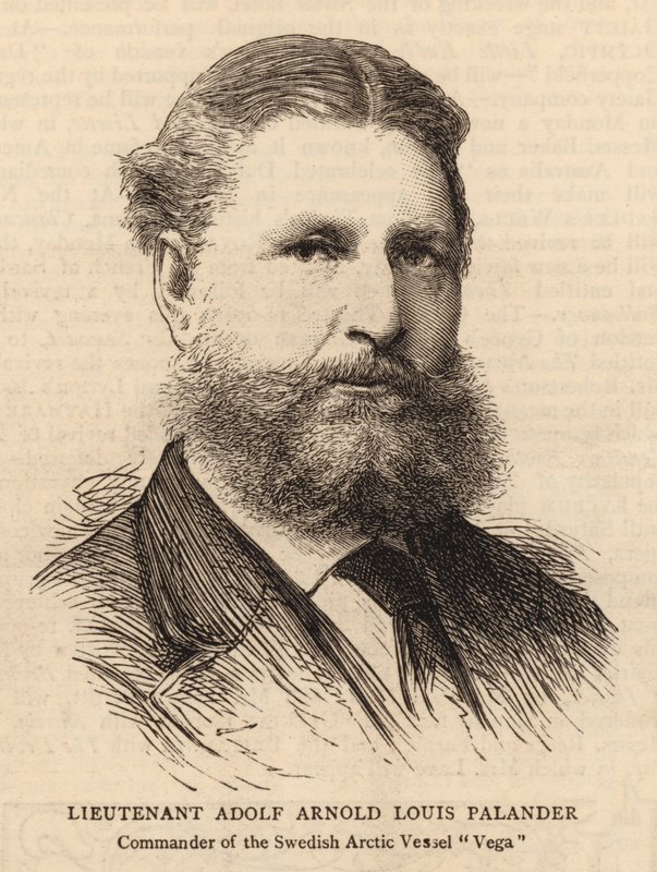 Luitenant Adolf Arnold Louis Palander (gravure) door English School