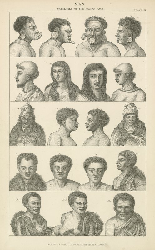 Mens. Variëteiten van het menselijk ras (gravure) door English School