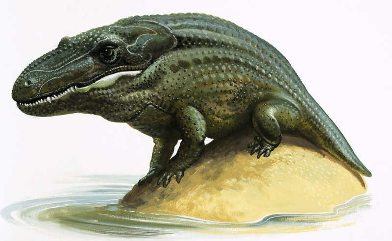 Mastodosaurus door English School