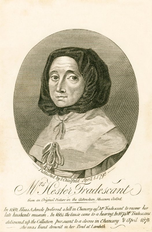 Mevrouw Hester Tradescant door English School