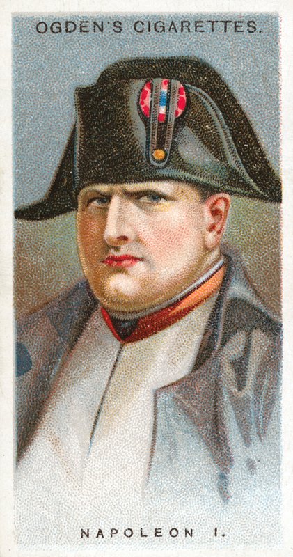 Napoleon I door English School