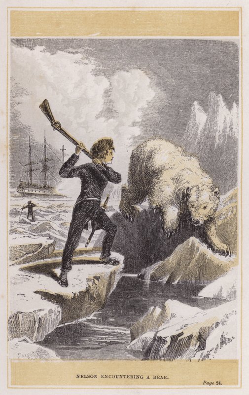 Nelson ontmoet een beer (gekleurde gravure) door English School