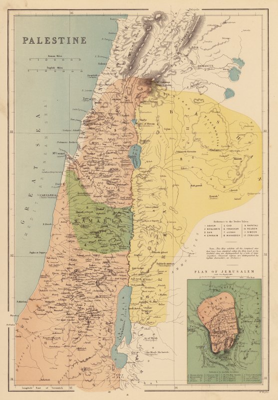 Palestina door English School