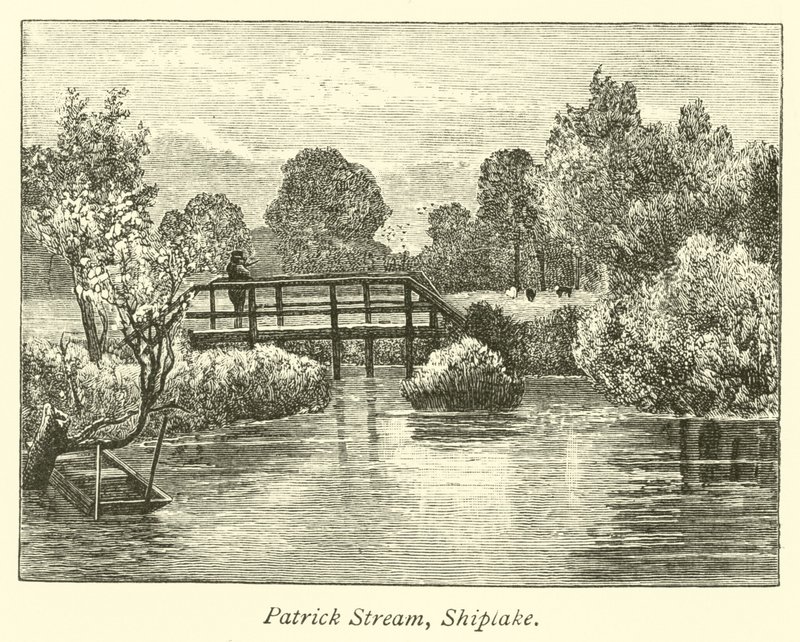 Patrick Stroom, Shiplake door English School