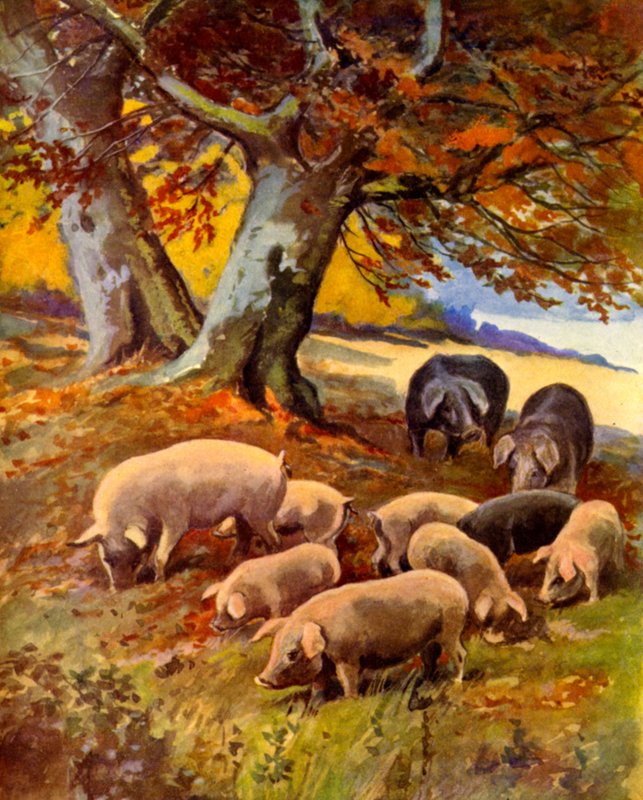 Varkens in het Gras door English School
