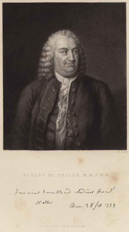 Portret van Albert de Haller door English School