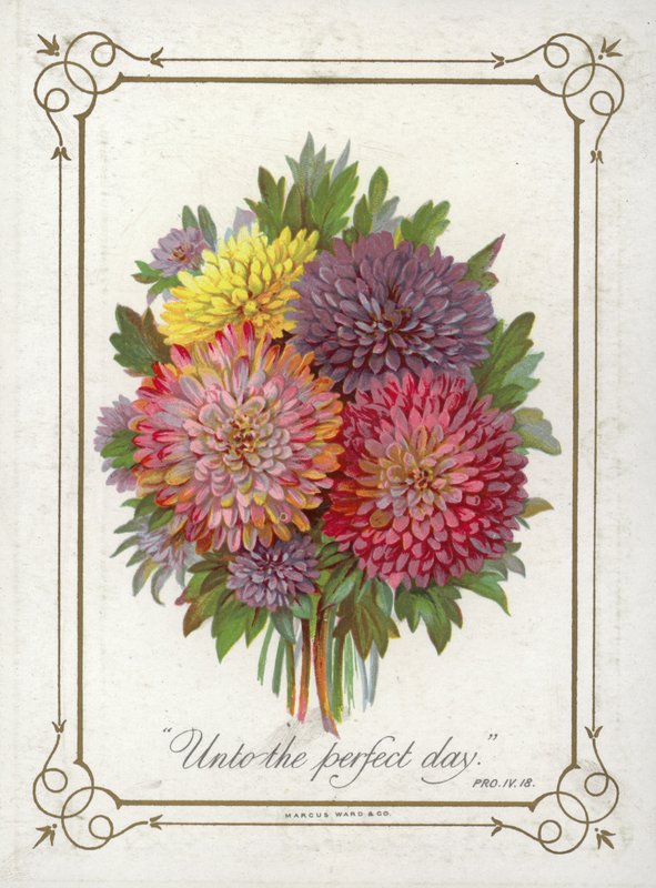 Boeket bloemen door English School