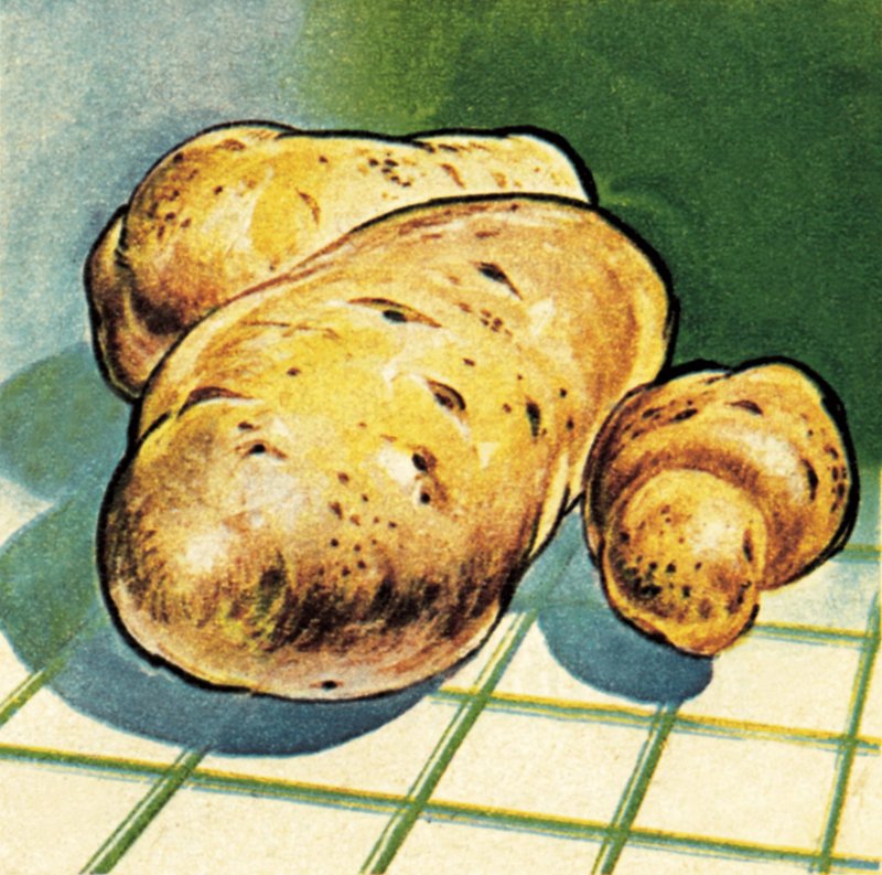 Aardappelen door English School