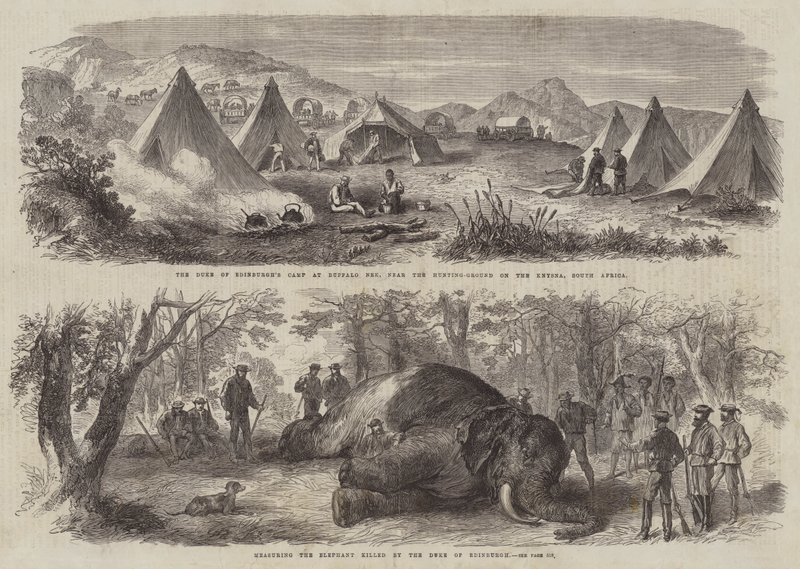 Prins Arthur in Zuid-Afrika (gravure) door English School