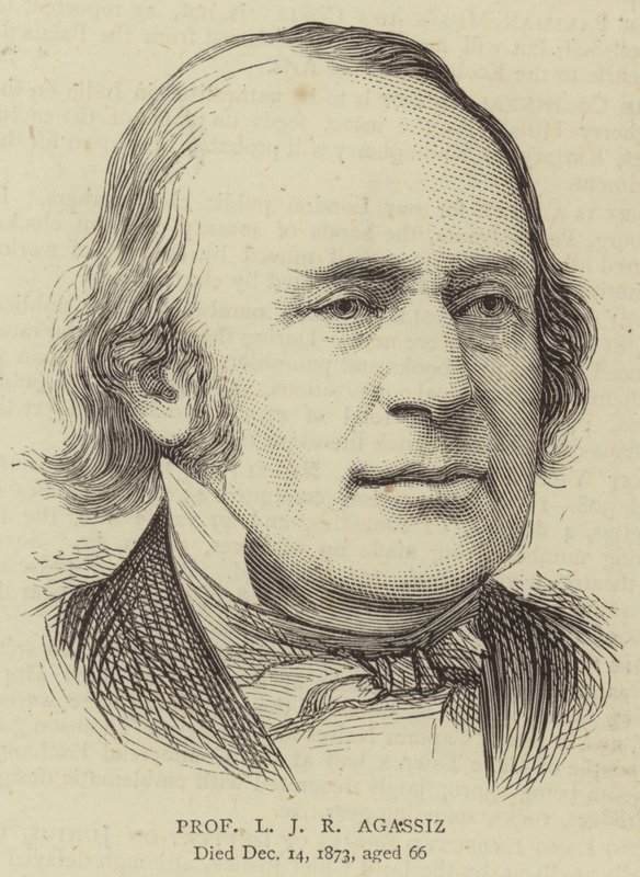 Professor L J R Agassiz door English School