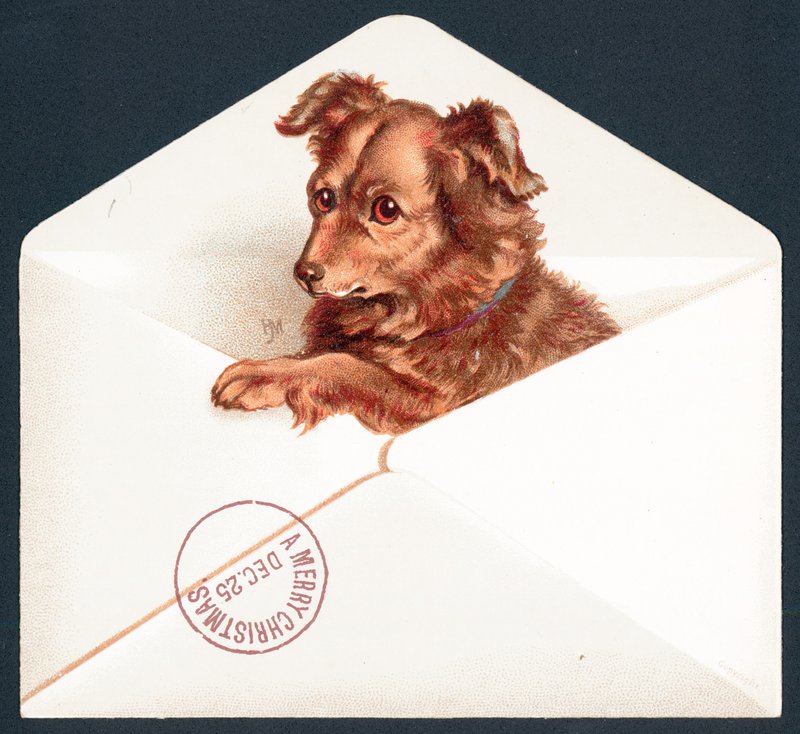 Puppy in envelop, Kerstkaart door English School