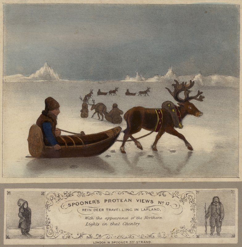 Rendieren reizen in Lapland door English School