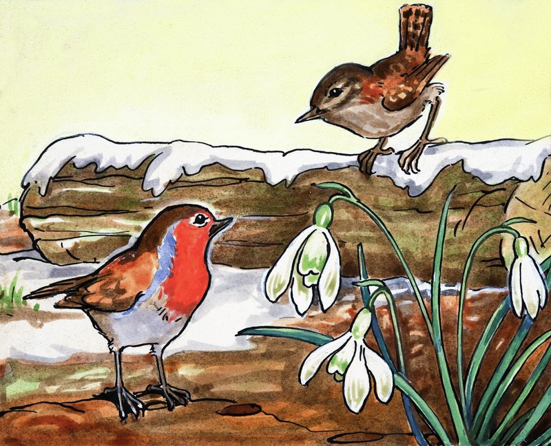 Roodborstje en Jenny Wren door English School