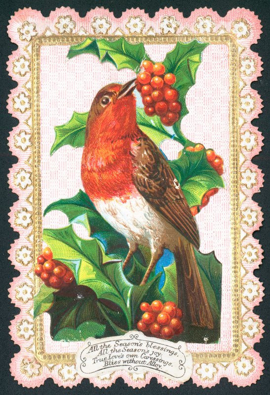 Roodborstje eet bessen, kerstkaart door English School