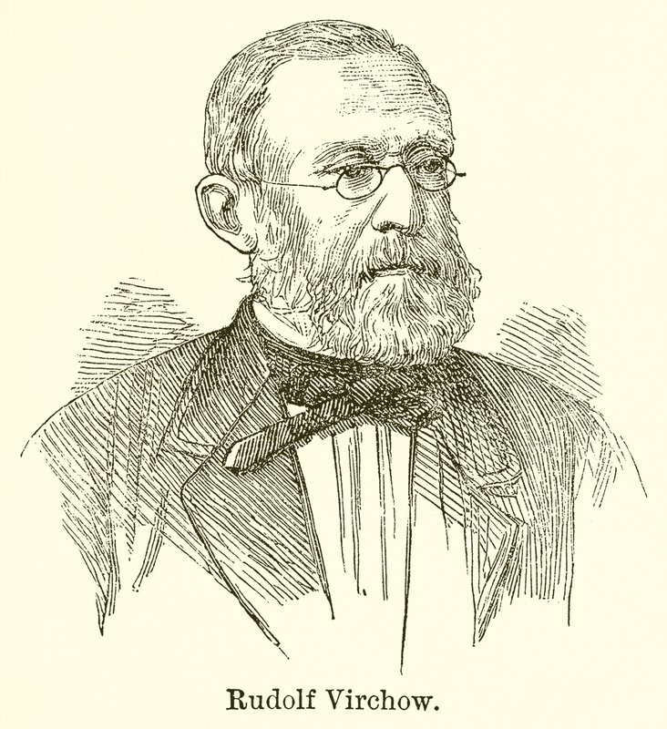 Rudolf Virchow door English School