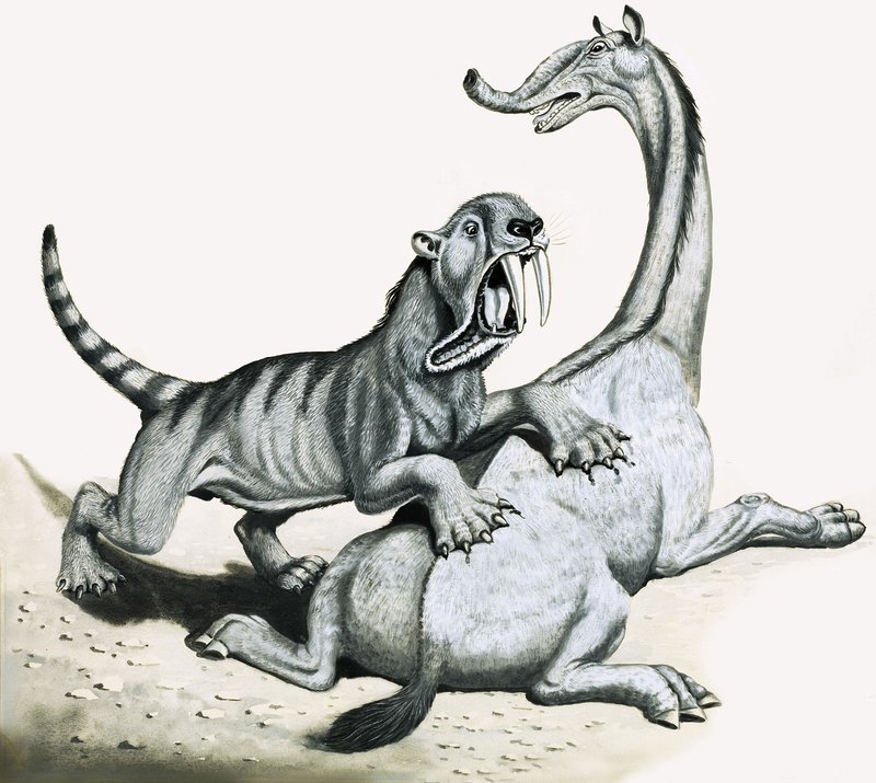Sabeltandtijger valt onidentificeerbaar prehistorisch wezen aan door English School