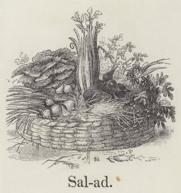 Salade door English School