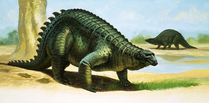Scelidosaurus door English School