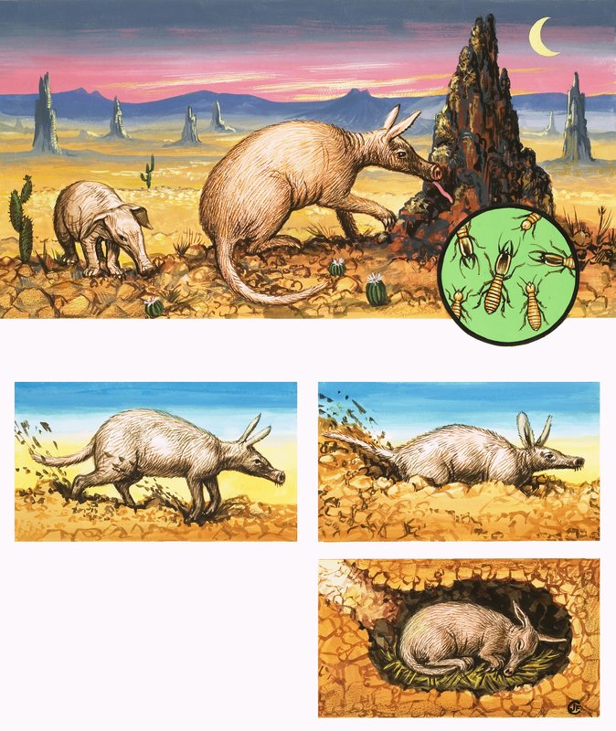 Het verbazingwekkende aardvarken door English School