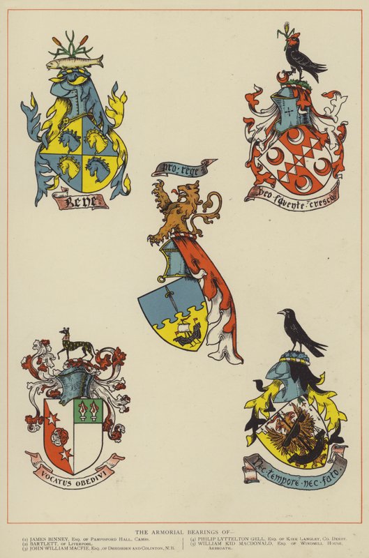 De Wapenschilden door English School