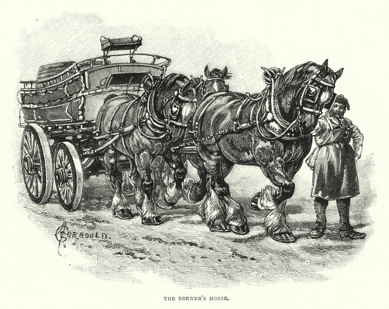 Het Paard van de Brouwer door English School