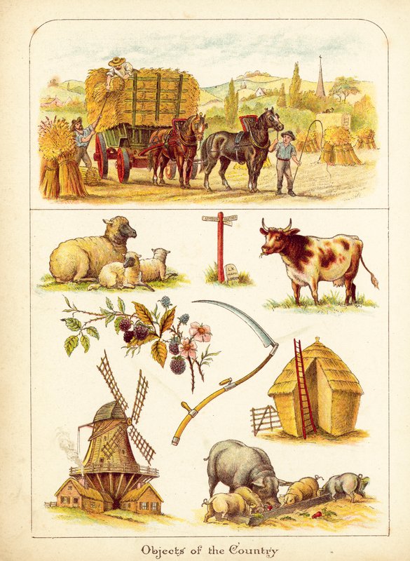 Het Platteland door English School