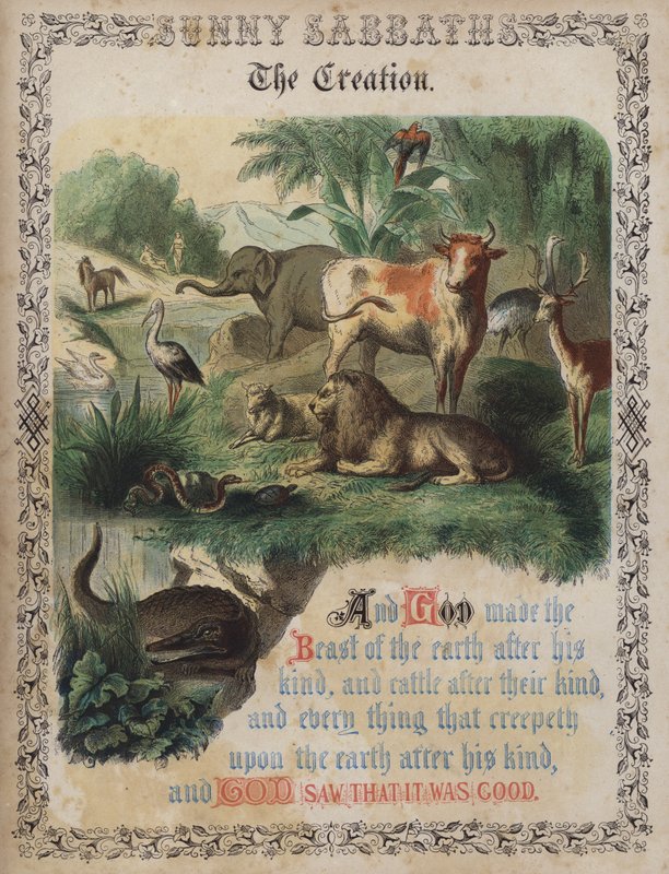 De Schepping (gekleurde gravure) door English School